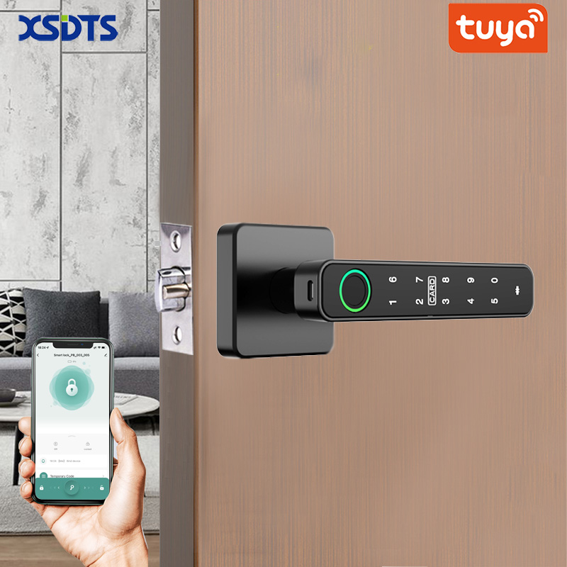 XSDTS Tuya Handle Fingerprint  - Door Handle Bar 评论和价格