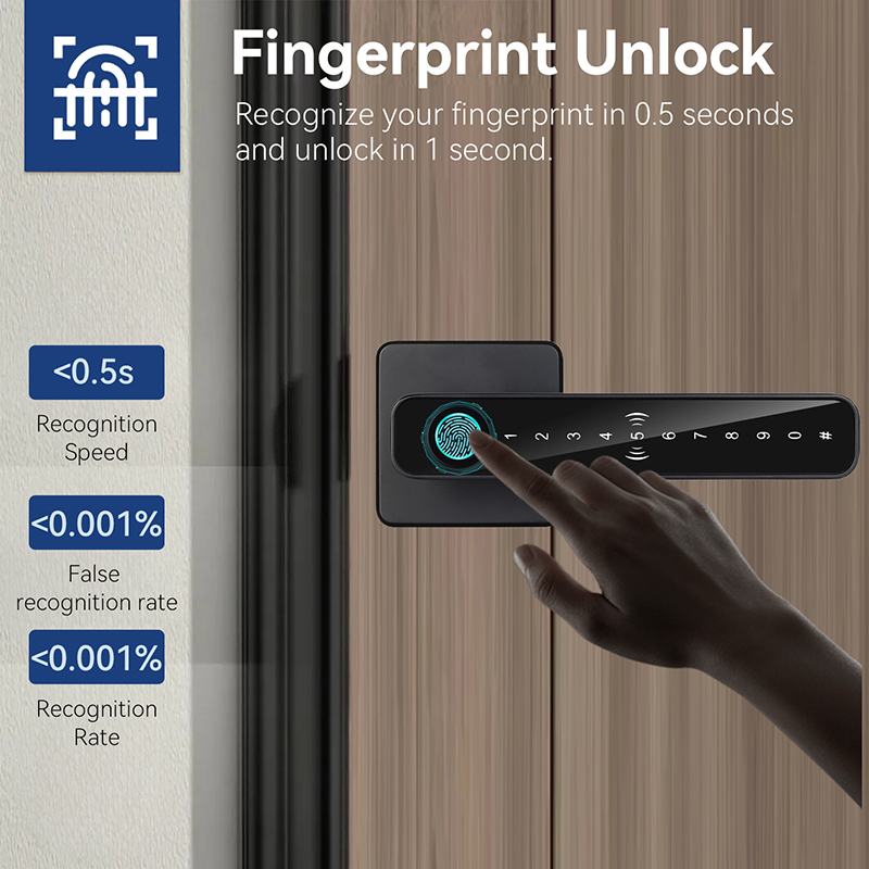 XSDTS Tuya Handle Fingerprint  - Door Handle Bar 评论和价格